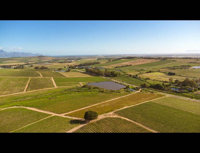 94HA FARM FOR SALE IN STELLENBOSCH FARMS
